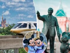 I fan della Disney si rallegrano mentre i parchi ripristinano i saluti di genere dopo la pulizia “inclusiva”: “Siamo così fottutamente tornati”