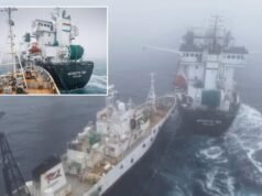 Gruppo di attivisti accusato di “attacco terroristico” in collisione con un peschereccio per krill antartico