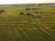 La terra americana non c’è più e non tornerà più, mentre i prezzi sono saliti alle stelle del 77% dopo la pandemia