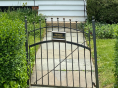 Nonna di New York, 75 anni, aggredita per aver chiesto a Dog Walker di andare a prendere il suo animale domestico