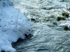 MN, un bambino di 5 anni che ha salvato il fratello minore lotta per la sua vita