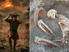 I ricercatori di Pompei utilizzano l’intelligenza artificiale per creare uno straordinario ritratto digitale della vittima che ha cercato di sfuggire all’eruzione