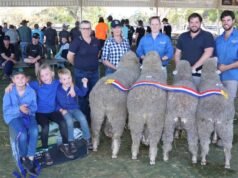 Due stalloni condividono il massimo dei voti nella giuria al Williams Gateway Expo di quest’anno