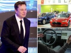 I proprietari arrabbiati di Tesla fanno causa alla casa automobilistica di Elon Musk per averli “ingannati” riguardo alla tecnologia di guida autonoma