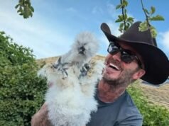 Brooklyn Beckham rimane in silenzio mentre i fratelli Romeo, Cruz e Harper condividono affettuosi tributi di compleanno a papà David e lo sorprendono con un regalo di famiglia molto improbabile… polli!