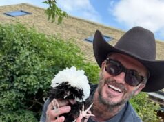 Victoria Beckham dice a David che il suo regalo di compleanno di tre galline è “da parte dei ragazzi” in un potenziale ramo d’ulivo al figlio separato Brooklyn