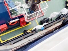 Corsa per rintracciare decine di persone che erano in volo con il passeggero di una nave da crociera olandese morto dopo l’atterraggio – tra nuovi avvertimenti il virus dei ratti potrebbe essere trasmesso da persona a persona