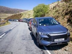 Non è il posto migliore dove lasciare la macchina! Circa 80 auto ricevono sanzioni per aver parcheggiato illegalmente in un punto caldo vicino a Snowdon