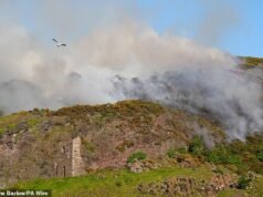 Un grande incendio d’erba si diffonde ad Arthur’s Seat mentre l’ondata di caldo fa salire le temperature in alcune parti del Regno Unito