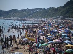 Il consiglio balneare distribuisce MIGLIAIA di multe per parcheggio durante il fine settimana festivo mentre gli inglesi accorrevano per godersi la spiaggia