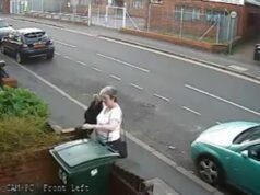 Mary Bale, “Cat Bin Lady”, è stata insultata in tutto il mondo quando ha gettato il gatto Lola in un bidone della spazzatura. Ora, 16 anni dopo ed è reclusa, non riesce ancora a convivere con la vergogna