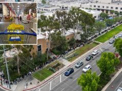 Mariachi e polpette a centinaia si presentano per l’inaugurazione di Culver City IKEA
