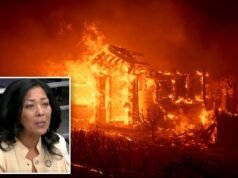 Il sopravvissuto agli incendi della California distrugge gli assicuratori e il governo statale per il mancato recupero delle vittime