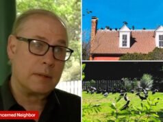 Coppia della Carolina del Nord accusata di aver causato l’invasione di avvoltoi denunciata dalla città furiosa: “Non buoni vicini”