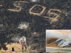 Un marinaio viene salvato appena in tempo mentre un enorme incendio da record distrugge l’isola della California