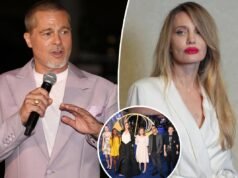 Brad Pitt non si sposerà mai più dopo che Angelina Jolie lo ha “alienato” dai figli in seguito a una brutale separazione: rapporto