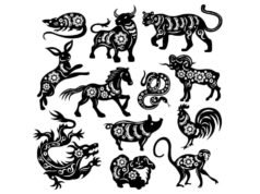 Questi 6 segni zodiacali sono pronti per avere fortuna mercoledì 13 maggio 2026, la delusione apre la strada alla fortuna e al successo!