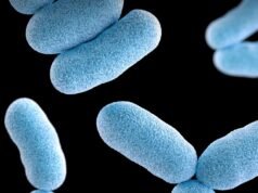 I dati trapelati mostrano che i casi di difterite sono aumentati settimane prima dell’allarme sanitario pubblico