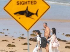 Un uomo muore nel nord-est dell’Australia dopo l’attacco di uno squalo