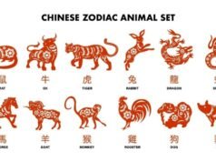 Gli istinti taglienti portano fortuna! Questi 6 segni zodiacali raccolgono fortuna e successo finanziario martedì 26 maggio 2026