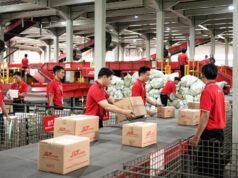 Hai un’attività ma sei ancora bloccato? Prova a verificarlo per far salire di livello il tuo business!