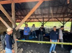 La foresta di mangrovie di Riau è stata invasa per anni, la polizia smantella il commercio illegale di carbone all’estero