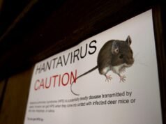 Tre morti dopo una sospetta epidemia di Hantavirus su una nave da crociera