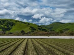I test sulle acque superficiali della California rivelano che metà dei campioni contenevano “sostanze chimiche per sempre”