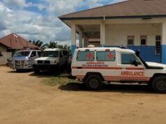 Cosa significa l’emergenza globale Ebola per gli americani