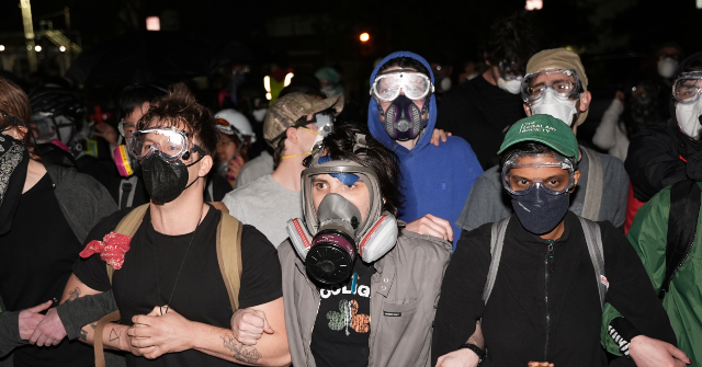 AP26149039761995-640x335.png