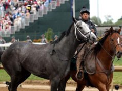 Great White graffiato dal Kentucky Derby dopo aver lanciato il cavaliere in una scena spaventosa
