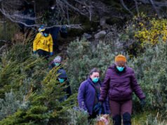 L’Argentina intrappola i ratti alla ricerca della fonte dell’epidemia di Hantavirus