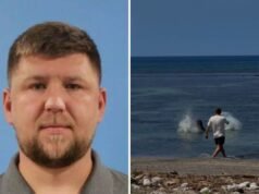 Chi è Igor Lytvynchuk? Turista accusato di aver lanciato sassi contro una foca in via di estinzione