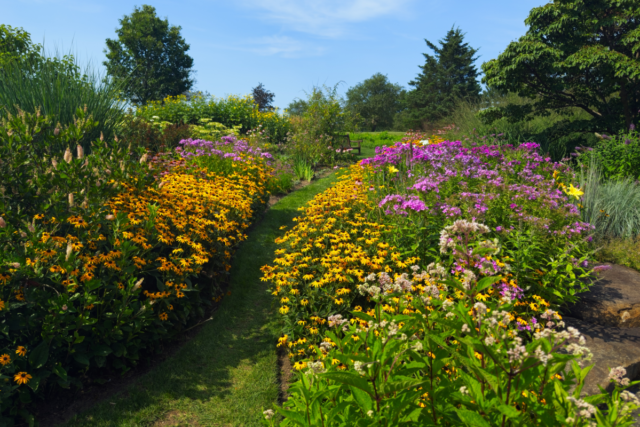 Copy-of-32-image-2026-05-24T111641.015.png