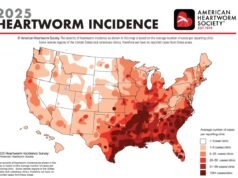 La mappa mostra i nuovi hotspot per la filaria per i proprietari di cani negli Stati Uniti