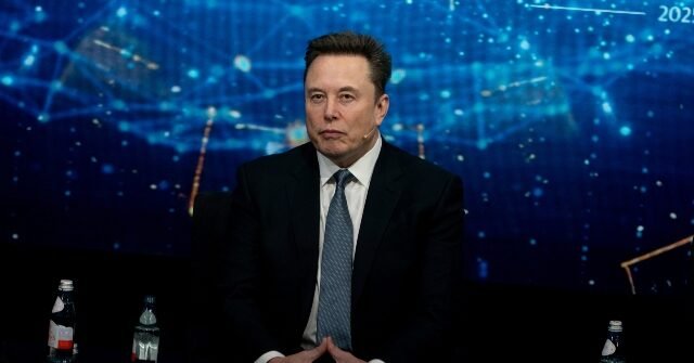 Elon-Musk-on-UK-murder-640x335.jpg