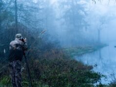 Il Fish and Wildlife Service degli Stati Uniti prevede di consentire la caccia sul 95% del suo territorio