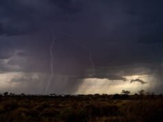 Più di 2 mesi di pioggia colpiscono Albuquerque