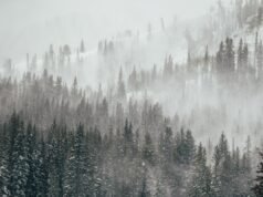 Utah Snow Warning: 4 pollici da colpire: “atipico”