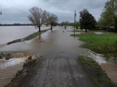 Flood Watch Live Tracker Maps come avvisi emessi in 12 stati
