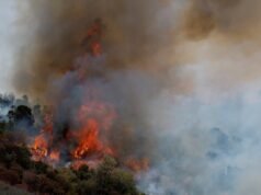 La mappa mostra le aree degli Stati Uniti più a rischio di incendi quest’estate