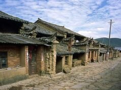 Fabbrica di Wuhan accusata di avvelenamento degli abitanti con sostanze chimiche