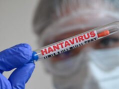 Infezioni da Hantavirus da crociera in totale 11, l’OMS avverte che i casi aumenteranno ma l’epidemia sarà sotto controllo