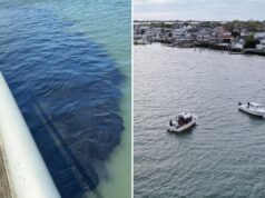 30.000 litri di rifiuti liquami nocivi scaricati accidentalmente nel corso d’acqua di Long Island