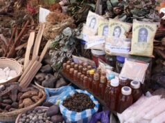 Come il “farmaceutico algoritmico” della Nigeria alimenta un’ondata di cure erboristiche rischiose