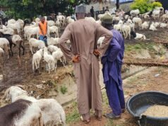 La crisi del costo della vita rimodella la spesa per l’Eid in Nigeria