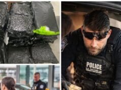 Il CBP sventa un tentativo di traffico di cocaina del cartello da 1 milione di dollari al confine con il Texas