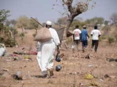 Le immagini satellitari rivelano come la guerra del Sudan abbia bruciato il suo “granaio”