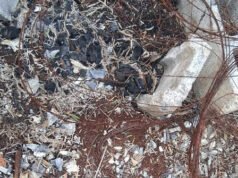 Due siti di crematorio clandestino del cartello trovati in Messico vicino al confine con il Texas