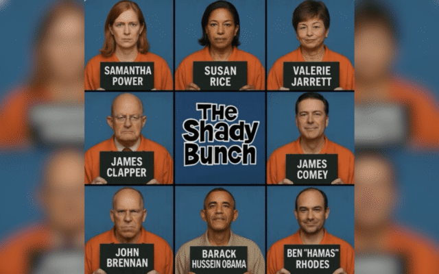 Shady-Bunch.png